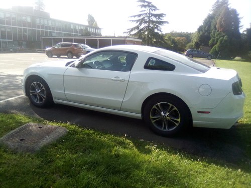 2014 Ford mustang 3.7 v6 auto premium For Sale