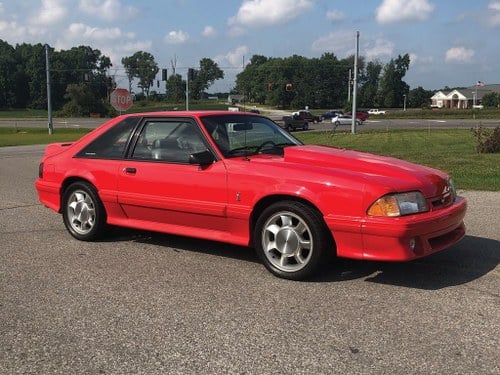 1993 Ford Mustang Cobra  For Sale by Auction