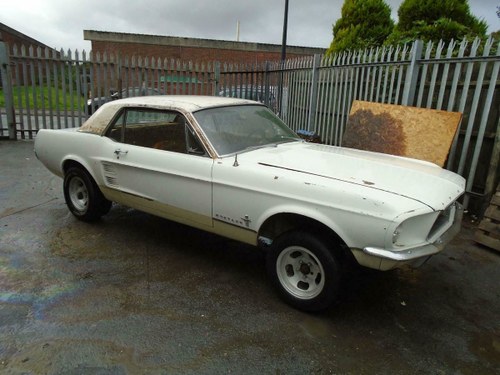 FORD-MUSTANG-AUTO-COUPE-1967-WHITE SOLID SHELL SOLD