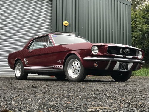 1966 Ford Mustang 289 For Sale