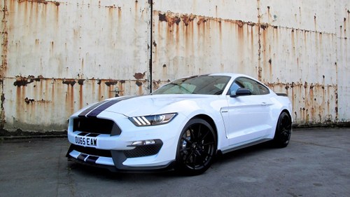 2016 Ford Shelby GT350 Mustang For Sale