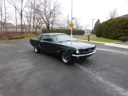 1965 Ford Mustang 289 V8 Good Driver - Kaufen Bei