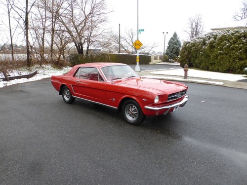 1965 1964.5 Mustang 260 V8 Very Nice Driver In vendita