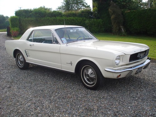 1966 Ford mustang manual, straight six. 3.3 cid. For Sale