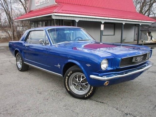 1966 Ford Mustang V8 289 Very Nice Driver For Sale