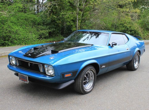 1973 Ford Mustang Fastback Mach 1  For Sale