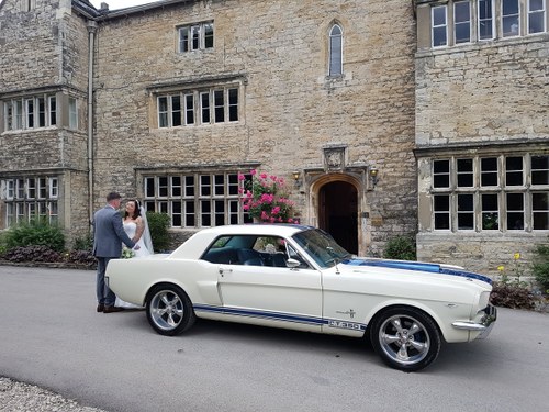 1966 Ford Mustang GT350 Zu Mieten