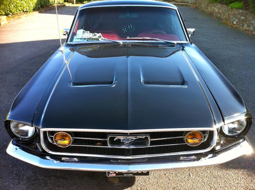 1967 Mustang GT 390 Fastback In vendita