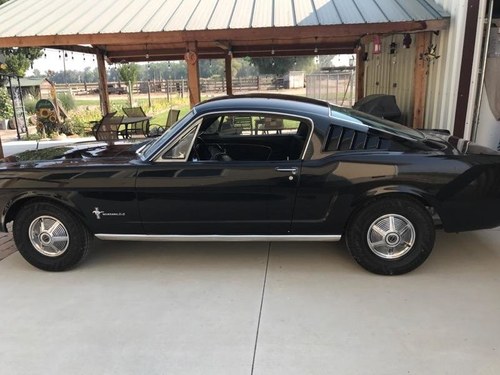 1964 Ford Mustang Fastback For Sale by Auction