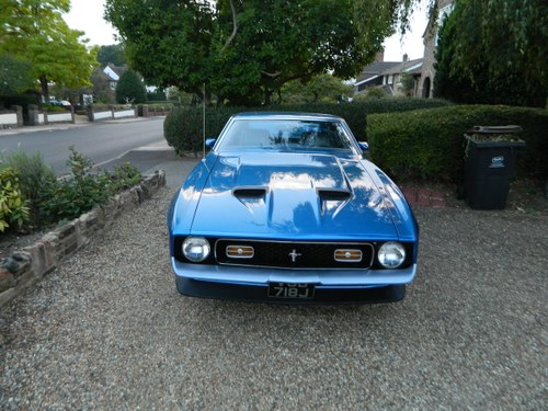 1971 Ford Mustang Mach 1 For Sale