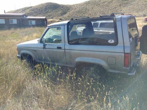1989 Ford Bronco For Sale by Auction