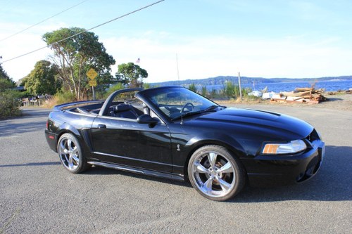 1999 Ford Mustang Cobra For Sale by Auction