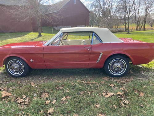 1965 1964.5 Mustang convertible in amazing condition For Sale