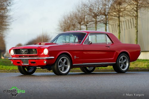 1966 Very good classic Ford Mustang V8 (LHD) In vendita