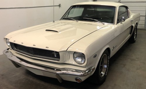 1966 Fully Restored Shelby GT350 Style Ford mustang 2+2 VENDUTO