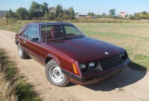 1981 Oryginal Ford Mustang Kaufen Bei