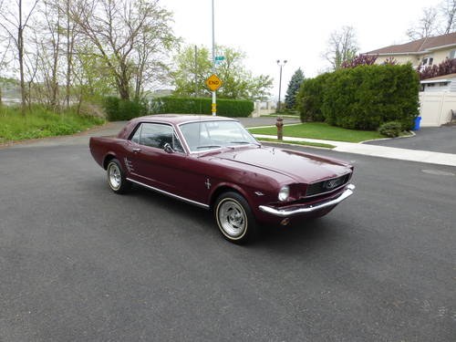 1966 Ford Mustang 289 V8 Nicely Presentable - SOLD