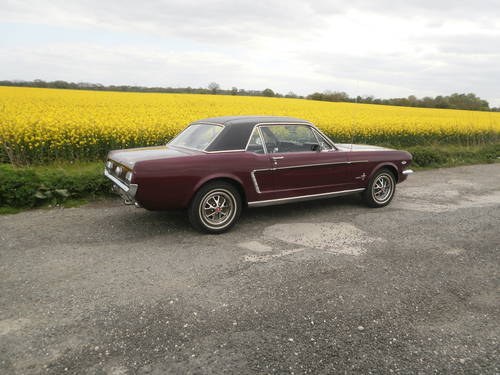 Classic 1965 Ford Mustang Coupe In vendita