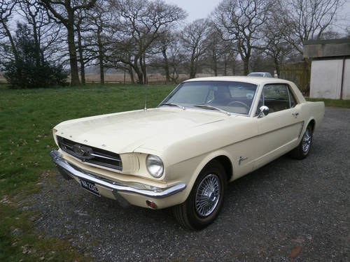 1965 FORD MUSTANG COUPE SPRINGTIME YELLOW *UNMOLESTED* For Sale