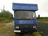1998 FORD CARGO HORSE BOX WITH LIVING NEEDS MOT  PLATING  In vendita