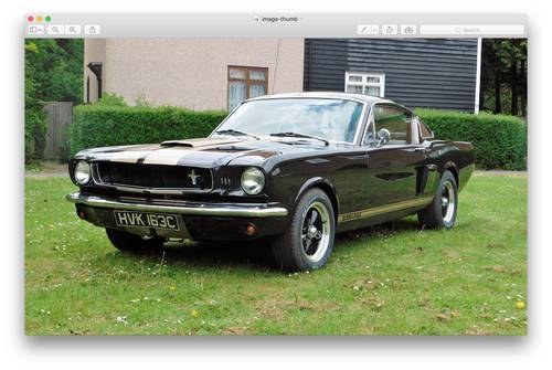 1965 Ford Mustang Fastback - Shelby Hertz GT350 Replica SOLD
