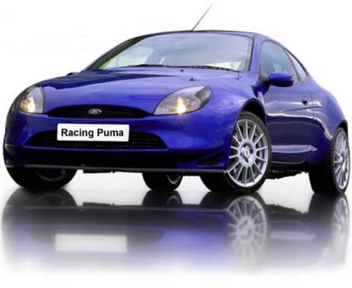 2000 FORD RACING PUMA (FORD RACING PUMA REQUIRED!!) In vendita