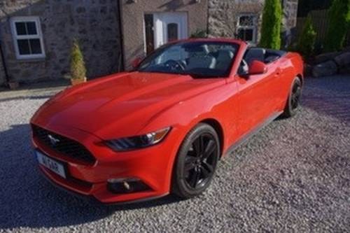 2016 Ford Mustang Ecoboost For Sale by Auction