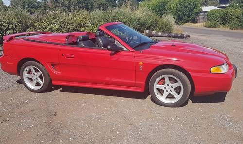 1997 Very Rare Mustang Cobra with Manual Gear Change For Sale