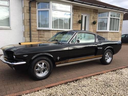 1965 Ford Mustang Fastback GT350H Hertz Clone For Sale