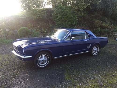 1966 Ford Mustang 289 V8 Auto 52,000 miles In vendita
