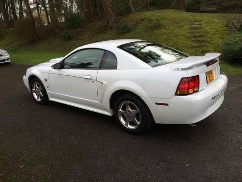 Mustang 40th Anniversary model 2004 For Sale