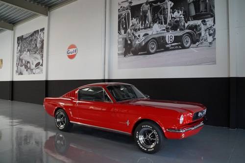FORD MUSTANG Fastback Top condition!! (1966) For Sale