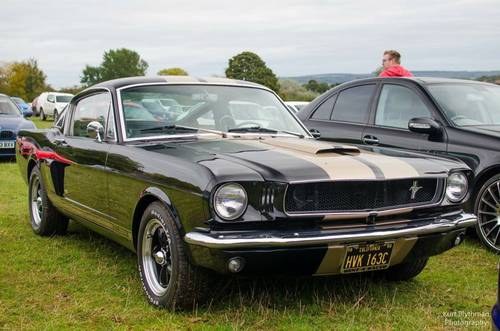 1965 Ford Mustang Fastback (GT350 hertz replica) For Sale