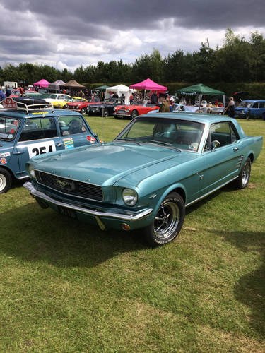 1966 Mustang Coupe In vendita