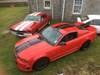 TWO Ford Mustangs.  1965 and 2006 Roush. For Sale
