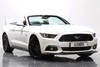2017 17 17 FORD MUSTANG 5.0 V8 GT AUTO - CUSTOM PACK For Sale