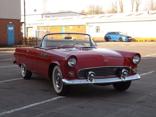 1955 Ford Thunderbird Convertible, Possibly the Best ? For Sale by Auction