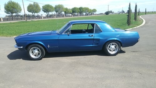 1966 mustang coupe For Sale