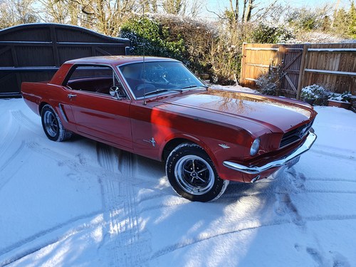 1965 1964 ½ Ford Mustang Coupe V8 F Code Triple red VENDUTO