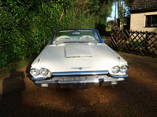 1965 She's a beauty - Thunderbird For Sale