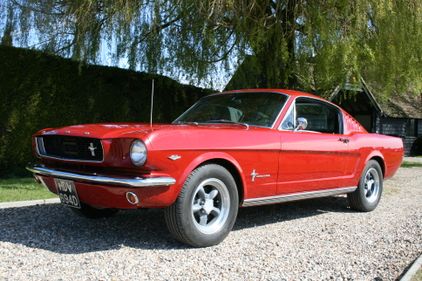 Picture of 66 Ford Mustang GT Fastback Wanted