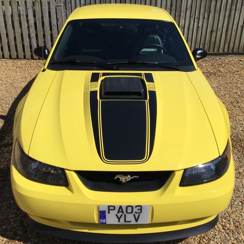 2003 Ford mustang mach 1. 4.6l 32v dohc v8. ram air shaker hood. Kaufen Bei