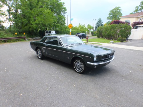 1966 Mustang 6 Cylinder Nice Driver For Sale