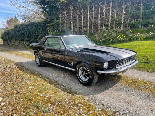 1968 Ford Mustang Brand Spanking New Jet Black Paint 289 V8 In vendita