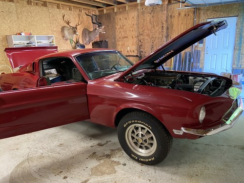 1968 Mustang Fastback Shelby tribute In vendita