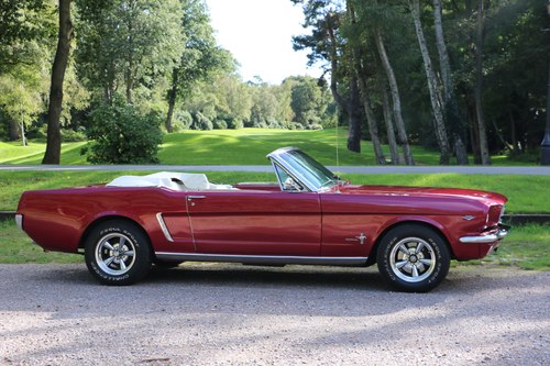 1964 Ford Mustang - 3