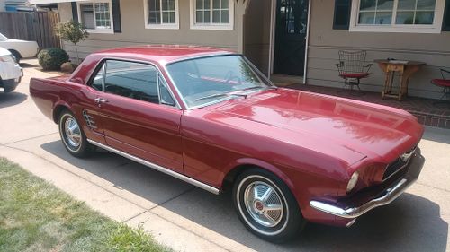 Picture of Ford Mustang coupe 1966 289Cu V8 - For Sale