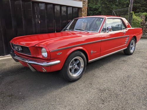 1966 Ford Mustang Coupe 289 V8 Manual For Sale