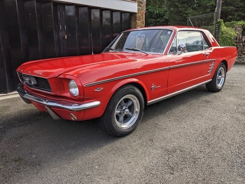 1966 Ford Mustang Coupe 289 V8 Manual Kaufen Bei