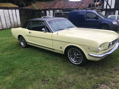 1966 Mustang GT For Sale